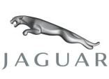 Jaguar Jaguar