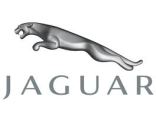 Jaguar para mujer