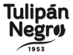 Tulipán Negro para hombre