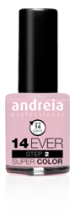 Esmalte de U&ntilde;as Ever 14
