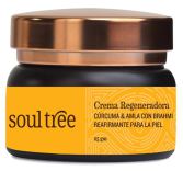 Crema facial Regeneradora Antiarrugas con C&uacute;rcuma 25gr