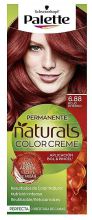 Tinte 6.88-Rojo Intenso Tinte 6.88-Rojo Intenso