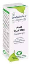 Esencia Pino Silvestre 5Ml
