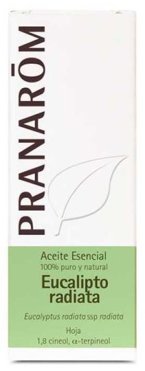 Aceite Esencial Eucalipto Radiata Aceite Esencial Eucalipto Radiata