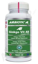 Ginkgo Vit 6000 90 Cápsulas Ginkgo Vit 6000 90 Cápsulas