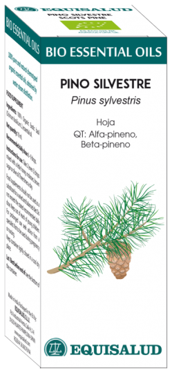 Bio Essential Oil Pino Silvestre 10 ml Qt: Alfa-Pi
