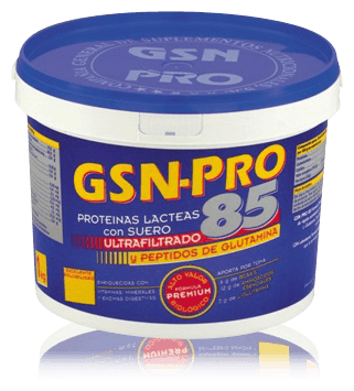 GSN Prote&iacute;nas Pro 85 1 kg