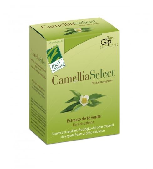 Camellia select Extracto de té verde 60 Cápsulas Camellia select Extracto de té verde 60 Cápsulas