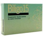 Biligo 15 (Litio) 20Amp