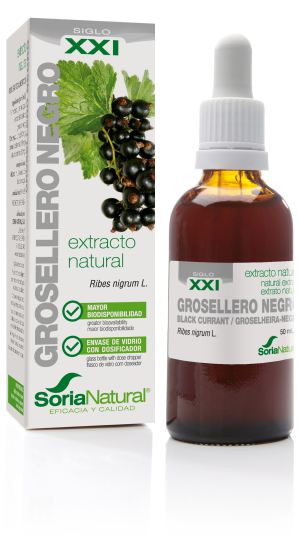 Extracto de Grosellero N Siglo XXI Extracto de Grosellero N Siglo XXI