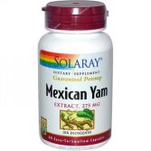 Mexican Yam 60 Cápsulas Mexican Yam 60 Cápsulas