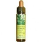 Rock Water Plantis Nº 27 10 ml Rock Water Plantis Nº 27 10 ml