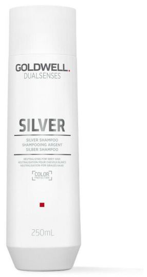 Goldwell Dual Silver Champ&uacute; 250 ml